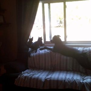 Meet your Posher, Terri